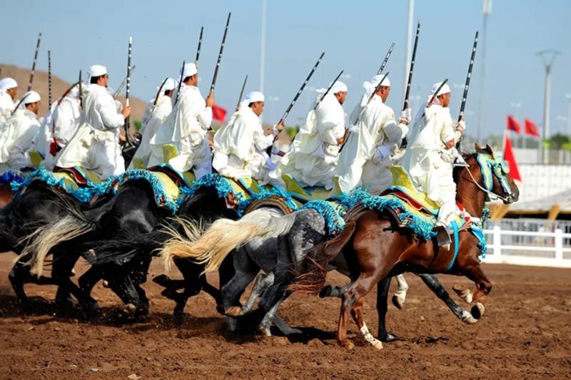 مهرجان التبوريدة أو العيطة